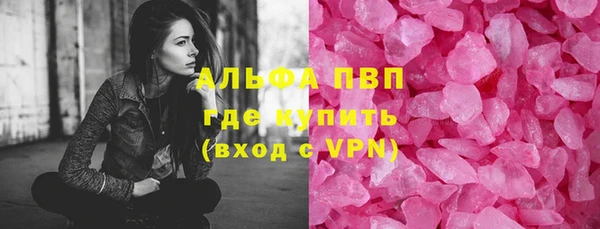 прущие грибы Яровое