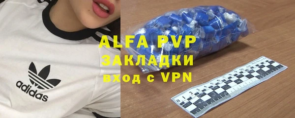 прущие грибы Яровое