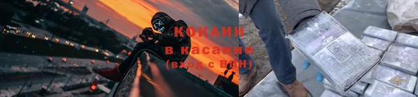 прущие грибы Яровое