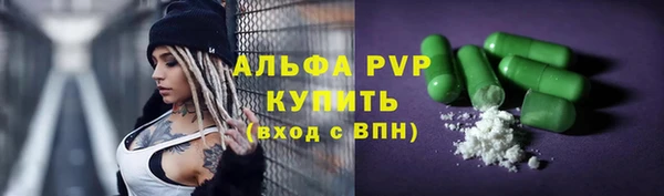 прущие грибы Яровое