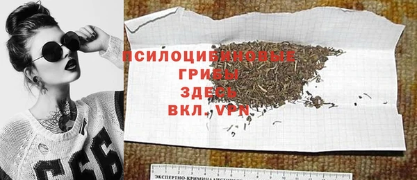 прущие грибы Яровое