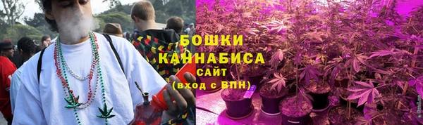 прущие грибы Яровое