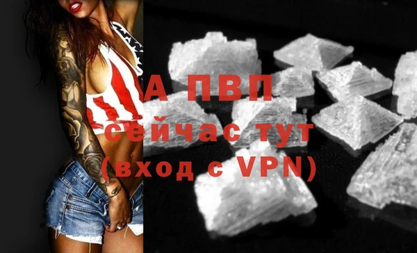 прущие грибы Яровое