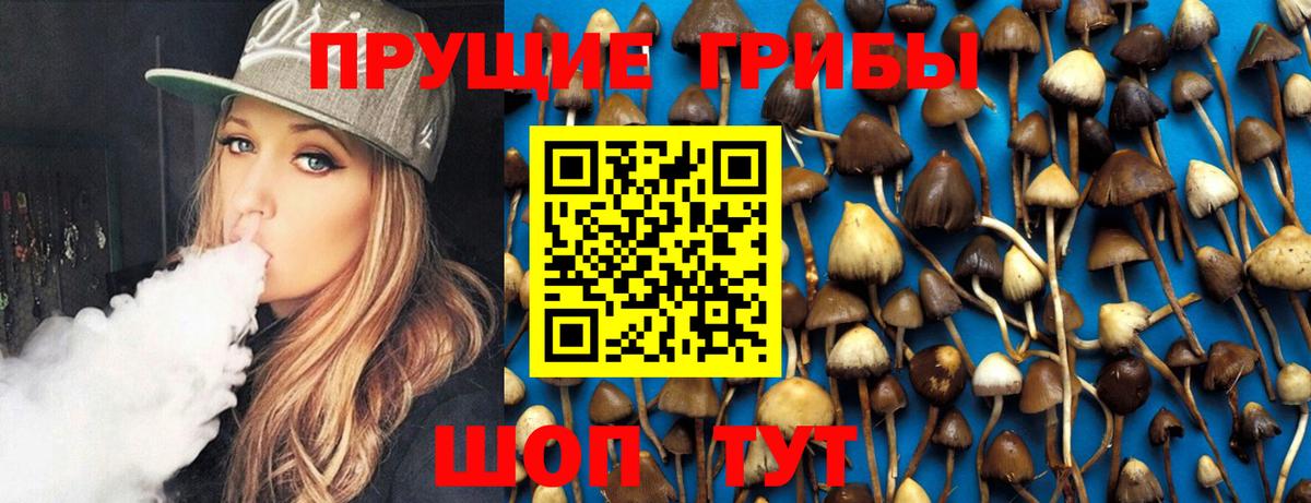 Псилоцибиновые грибы прущие грибы  Вход с VPN  купить наркотик  Ставрополь 