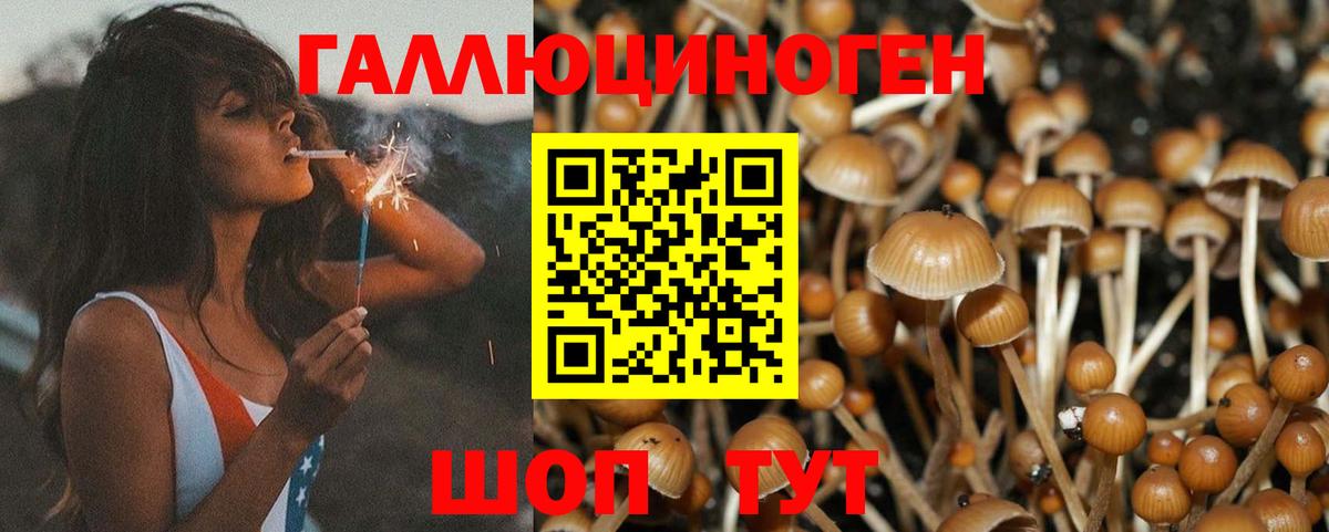 Псилоцибиновые грибы Magic Shrooms Ставрополь